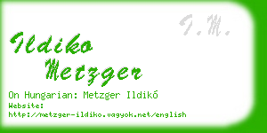 ildiko metzger business card